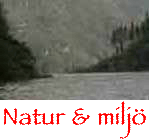 natur.png